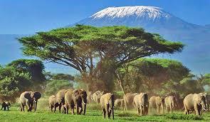 Tour Kenya