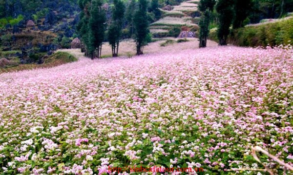 Tour Hà Giang