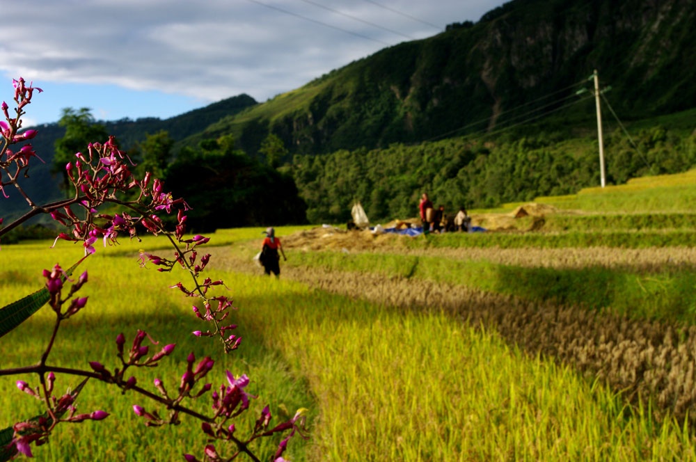 Tour Sơn La